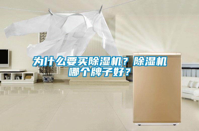 為什么要買除濕機(jī)？除濕機(jī)哪個(gè)牌子好？