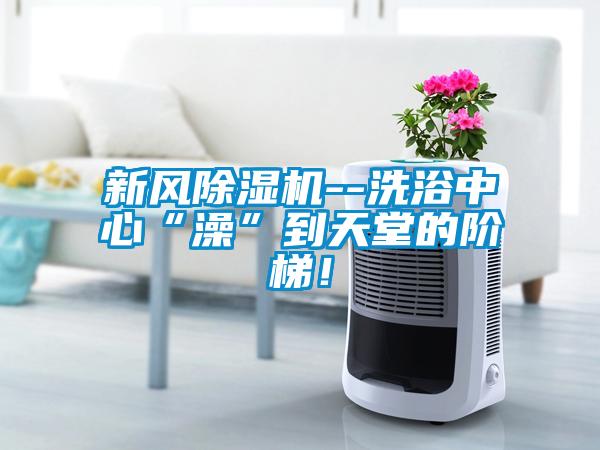 新風除濕機--洗浴中心“澡”到天堂的階梯！