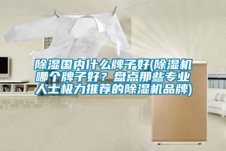 除濕國內什么牌子好(除濕機哪個牌子好？盤點那些專業人士極力推薦的除濕機品牌)