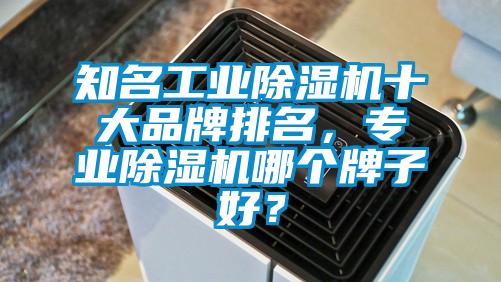 知名工業(yè)除濕機十大品牌排名，專業(yè)除濕機哪個牌子好？