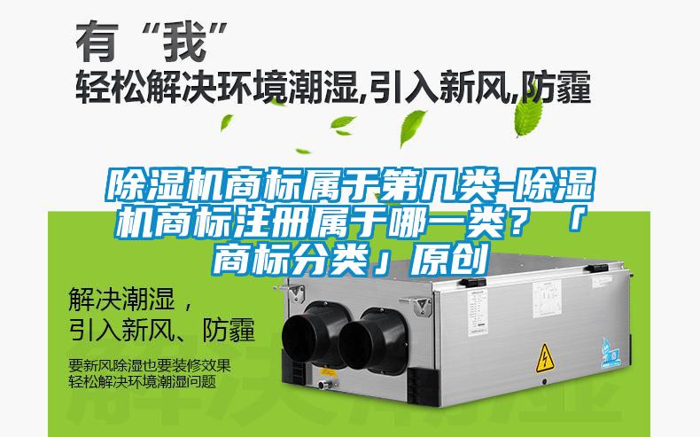 除濕機(jī)商標(biāo)屬于第幾類(lèi)-除濕機(jī)商標(biāo)注冊(cè)屬于哪一類(lèi)？「商標(biāo)分類(lèi)」原創(chuàng)