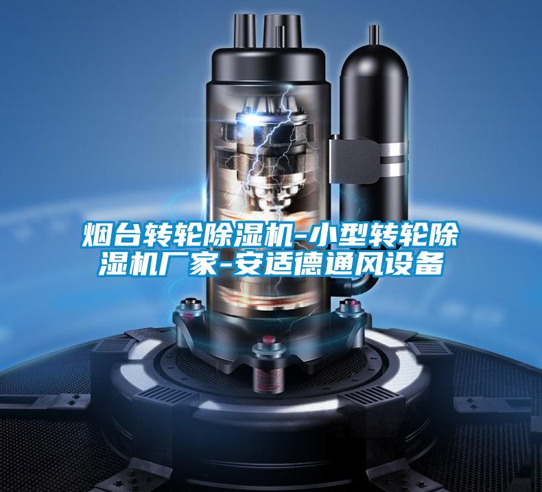 煙臺轉(zhuǎn)輪除濕機-小型轉(zhuǎn)輪除濕機廠家-安適德通風設(shè)備