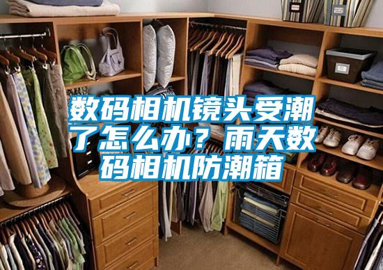數碼相機鏡頭受潮了怎么辦？雨天數碼相機防潮箱