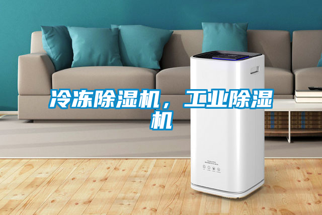 冷凍除濕機，工業(yè)除濕機