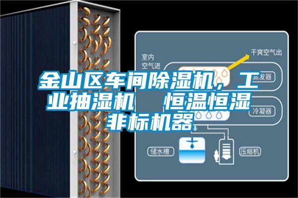 金山區(qū)車間除濕機(jī)，工業(yè)抽濕機(jī)  恒溫恒濕非標(biāo)機(jī)器
