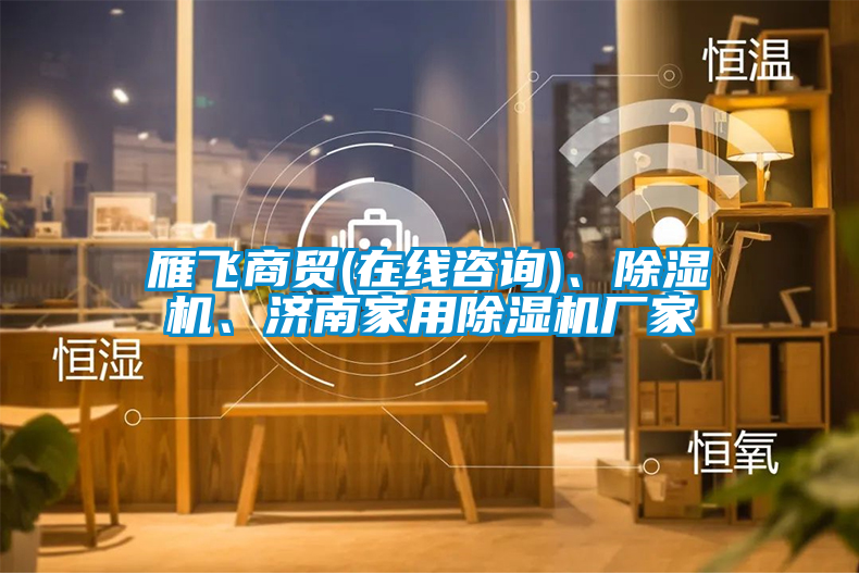 雁飛商貿(在線咨詢)、除濕機、濟南家用除濕機廠家
