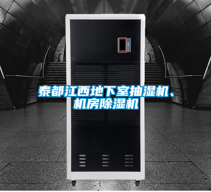 泰都江西地下室抽濕機、機房除濕機