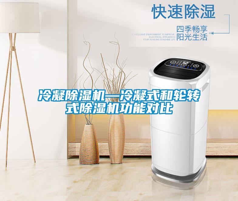 冷凝除濕機—冷凝式和輪轉(zhuǎn)式除濕機功能對比