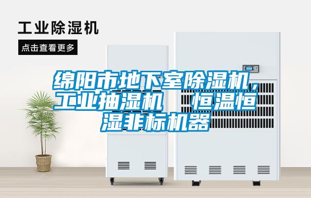 綿陽市地下室除濕機，工業抽濕機  恒溫恒濕非標機器