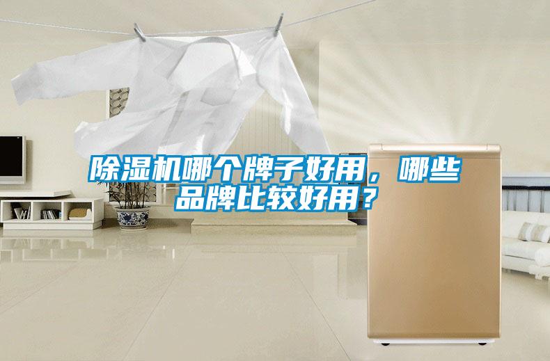 除濕機哪個牌子好用，哪些品牌比較好用？