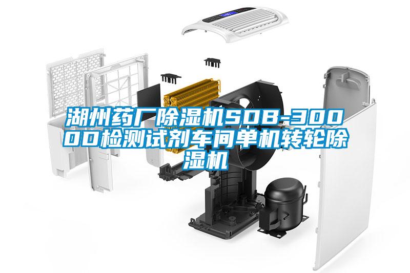 湖州藥廠除濕機(jī)SDB-3000D檢測(cè)試劑車間單機(jī)轉(zhuǎn)輪除濕機(jī)