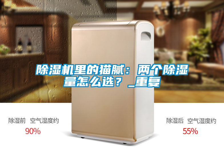 除濕機(jī)里的貓膩：兩個(gè)除濕量怎么選？_重復(fù)