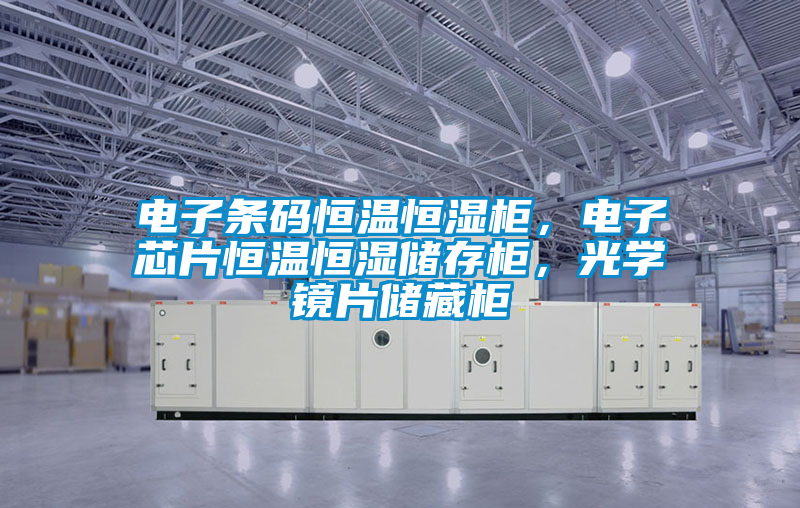電子條碼恒溫恒濕柜，電子芯片恒溫恒濕儲(chǔ)存柜，光學(xué)鏡片儲(chǔ)藏柜