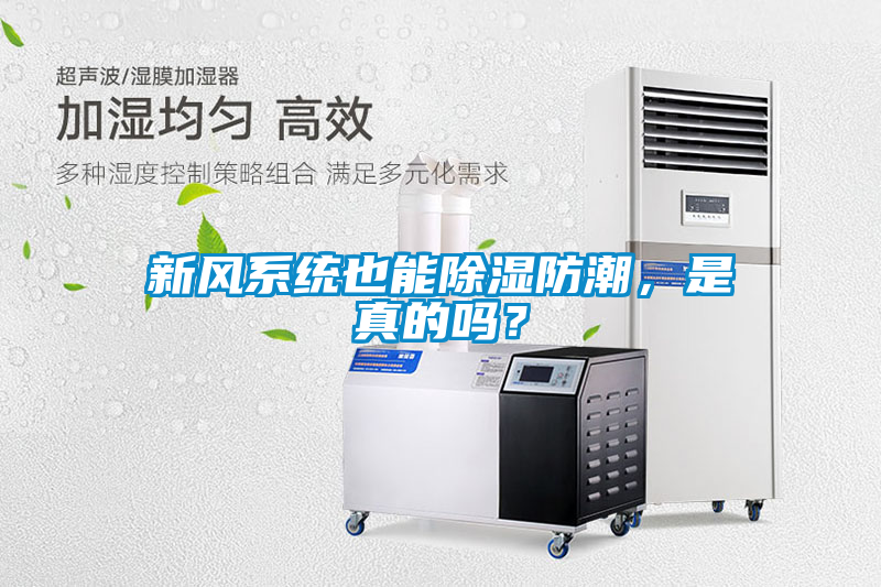 新風系統也能除濕防潮，是真的嗎？