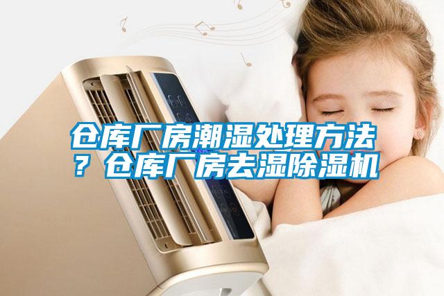 倉庫廠房潮濕處理方法？倉庫廠房去濕除濕機