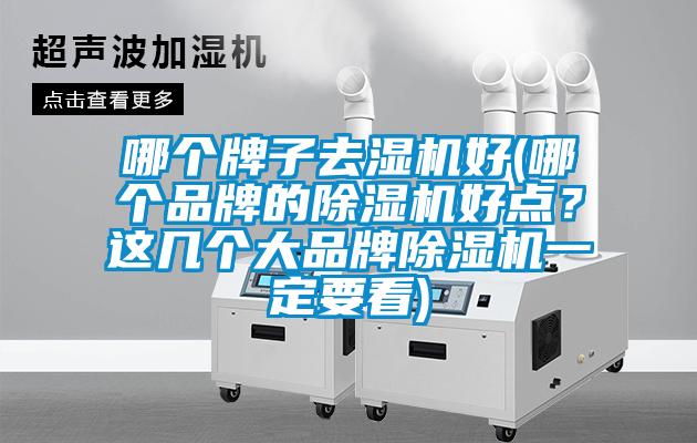 哪個牌子去濕機好(哪個品牌的除濕機好點？這幾個大品牌除濕機一定要看)