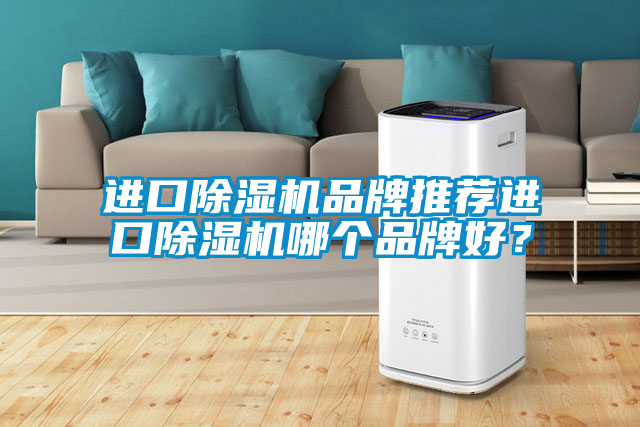 進(jìn)口除濕機(jī)品牌推薦進(jìn)口除濕機(jī)哪個(gè)品牌好？