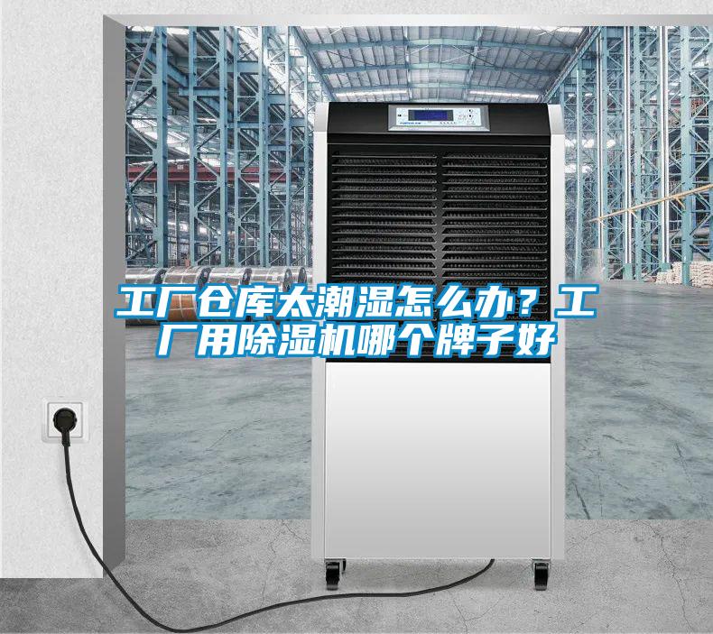 工廠(chǎng)倉(cāng)庫(kù)太潮濕怎么辦？工廠(chǎng)用除濕機(jī)哪個(gè)牌子好