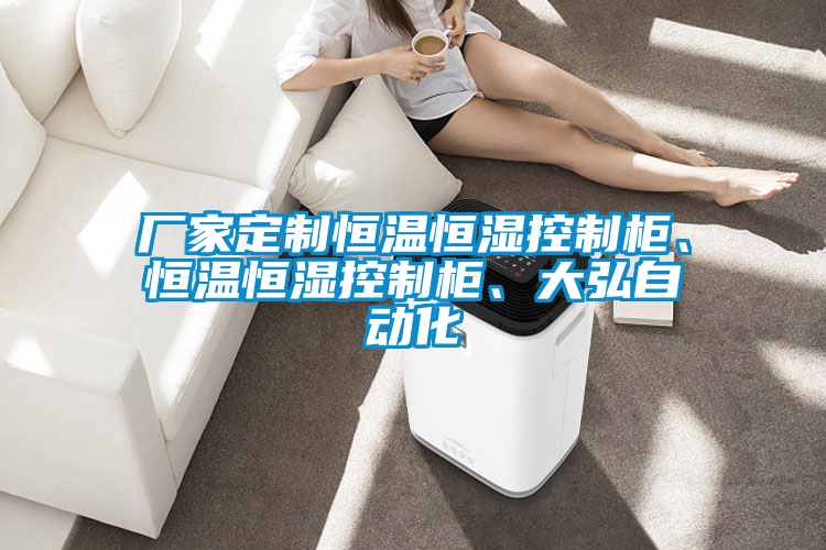 廠家定制恒溫恒濕控制柜、恒溫恒濕控制柜、大弘自動化