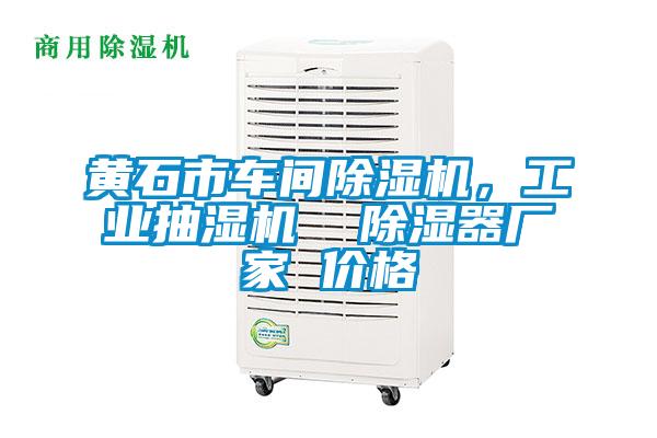 黃石市車(chē)間除濕機(jī)，工業(yè)抽濕機(jī)  除濕器廠家 價(jià)格