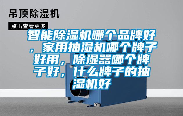 智能除濕機哪個品牌好，家用抽濕機哪個牌子好用，除濕器哪個牌子好，什么牌子的抽濕機好
