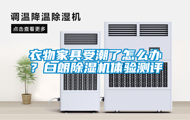 衣物家具受潮了怎么辦？白朗除濕機(jī)體驗(yàn)測評