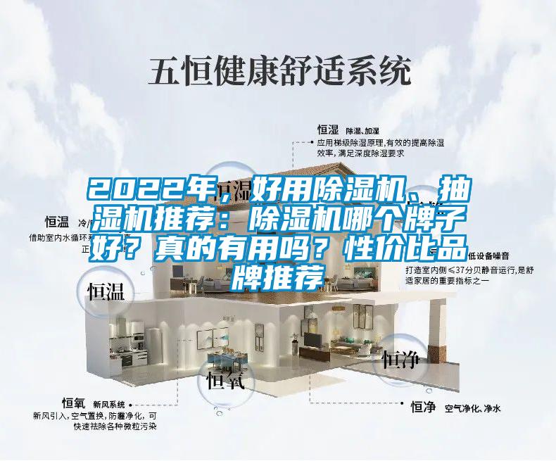 2022年，好用除濕機、抽濕機推薦：除濕機哪個牌子好？真的有用嗎？性價比品牌推薦