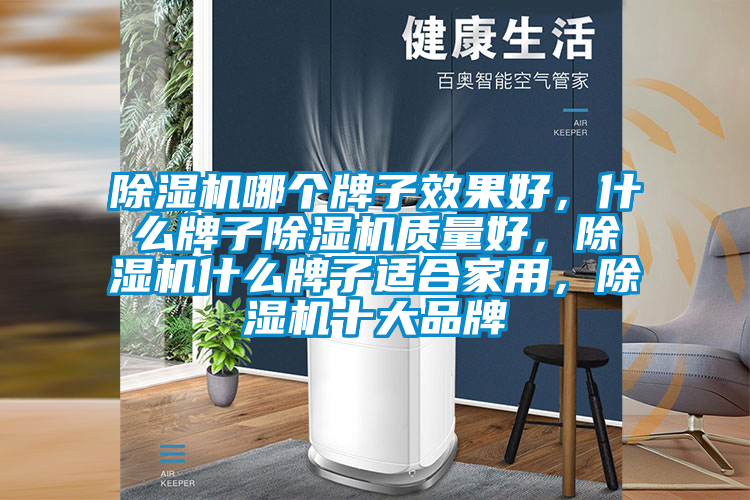 除濕機(jī)哪個(gè)牌子效果好，什么牌子除濕機(jī)質(zhì)量好，除濕機(jī)什么牌子適合家用，除濕機(jī)十大品牌