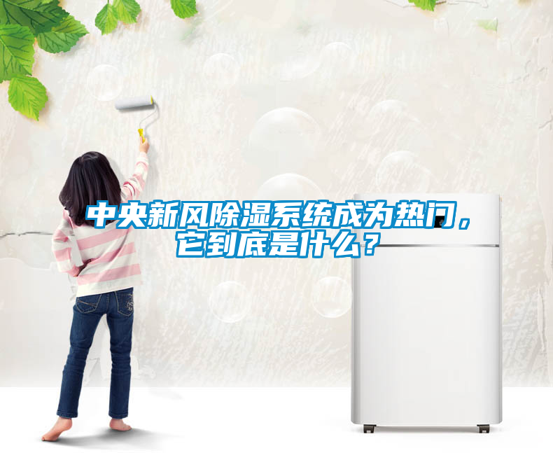 中央新風除濕系統成為熱門，它到底是什么？