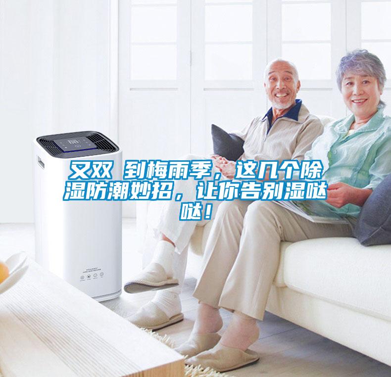 又雙叒到梅雨季，這幾個除濕防潮妙招，讓你告別濕噠噠！