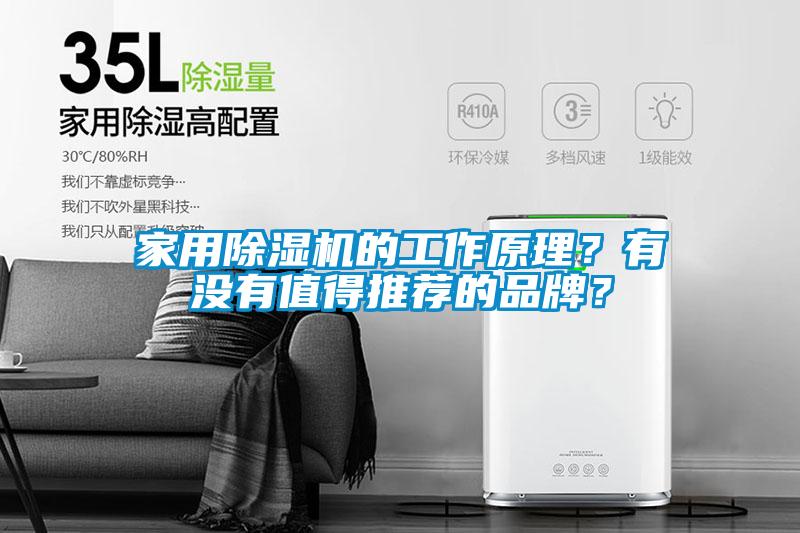 家用除濕機的工作原理？有沒有值得推薦的品牌？