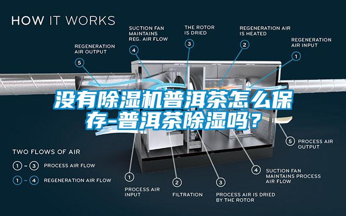 沒有除濕機普洱茶怎么保存-普洱茶除濕嗎？