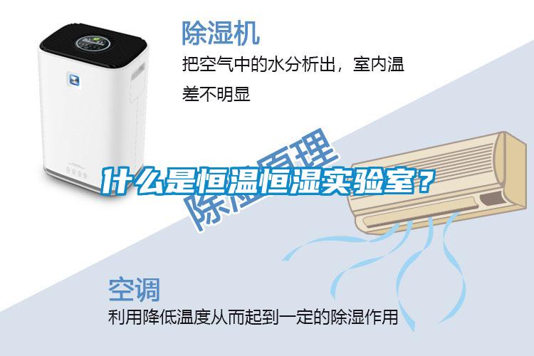 什么是恒溫恒濕實驗室？
