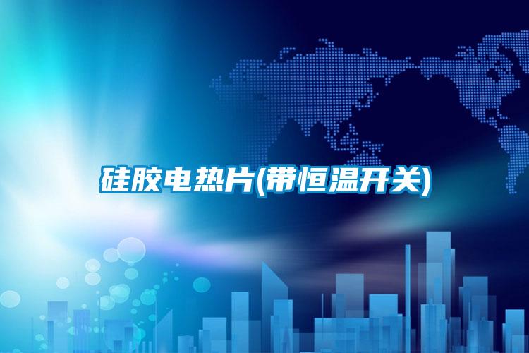 硅膠電熱片(帶恒溫開(kāi)關(guān))