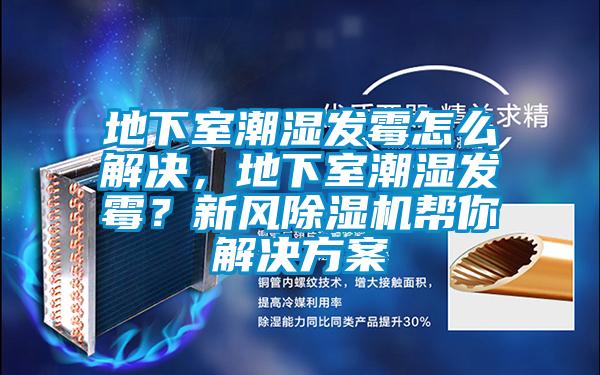 地下室潮濕發霉怎么解決，地下室潮濕發霉？新風除濕機幫你解決方案