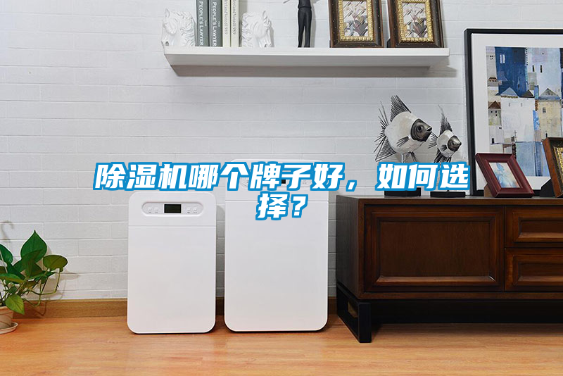 除濕機哪個牌子好，如何選擇？