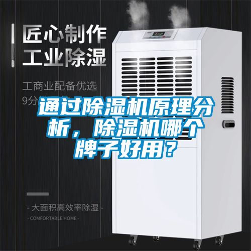 通過除濕機原理分析，除濕機哪個牌子好用？