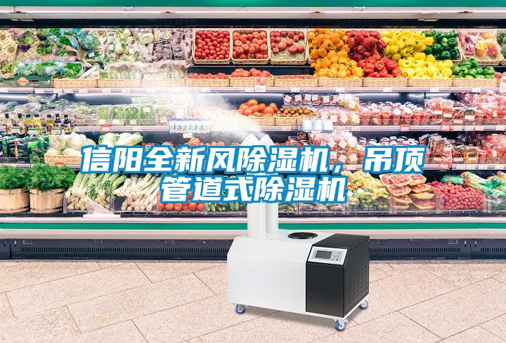 信陽(yáng)全新風(fēng)除濕機(jī)，吊頂管道式除濕機(jī)
