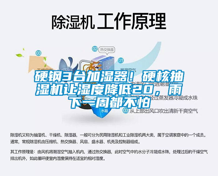 硬鋼3臺加濕器！硬核抽濕機讓濕度降低20，雨下一周都不怕