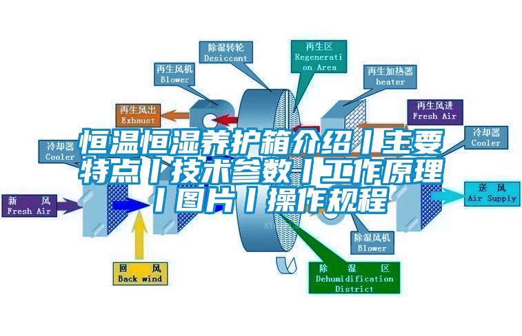 恒溫恒濕養(yǎng)護(hù)箱介紹丨主要特點丨技術(shù)參數(shù)丨工作原理丨圖片丨操作規(guī)程
