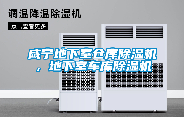 咸寧地下室倉(cāng)庫(kù)除濕機(jī)，地下室車(chē)庫(kù)除濕機(jī)