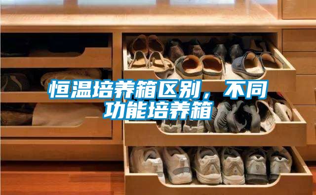 恒溫培養(yǎng)箱區(qū)別，不同功能培養(yǎng)箱