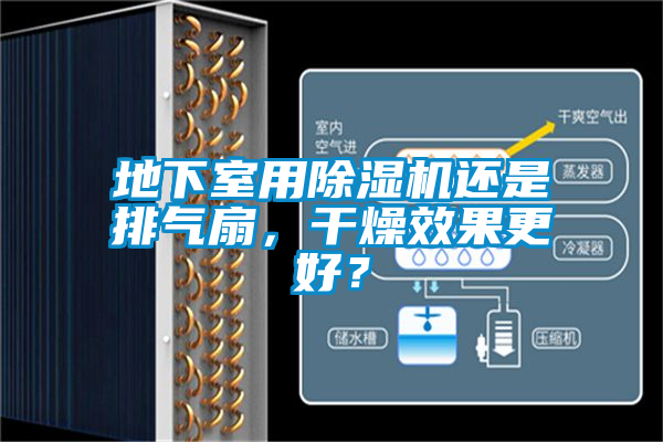 地下室用除濕機(jī)還是排氣扇，干燥效果更好？