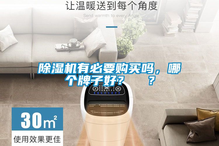 除濕機有必要購買嗎，哪個牌子好？  ？