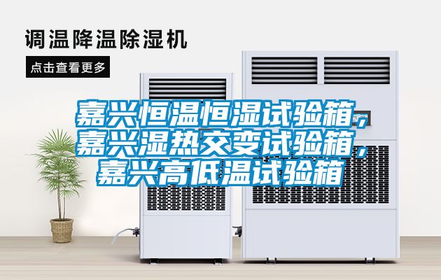 嘉興恒溫恒濕試驗(yàn)箱，嘉興濕熱交變?cè)囼?yàn)箱，嘉興高低溫試驗(yàn)箱
