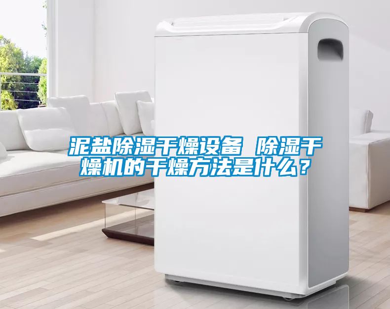 泥鹽除濕干燥設(shè)備 除濕干燥機的干燥方法是什么？