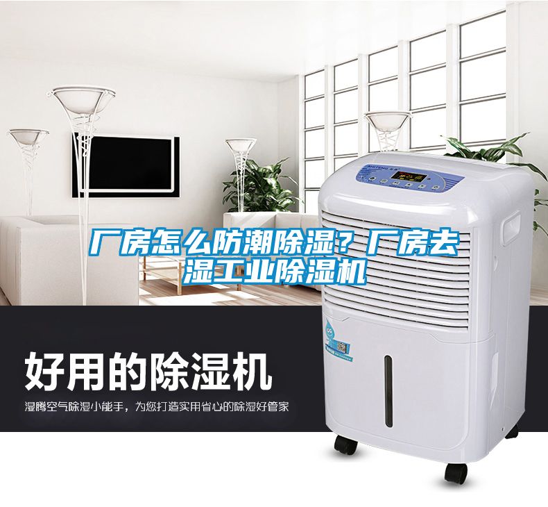 廠房怎么防潮除濕？廠房去濕工業除濕機