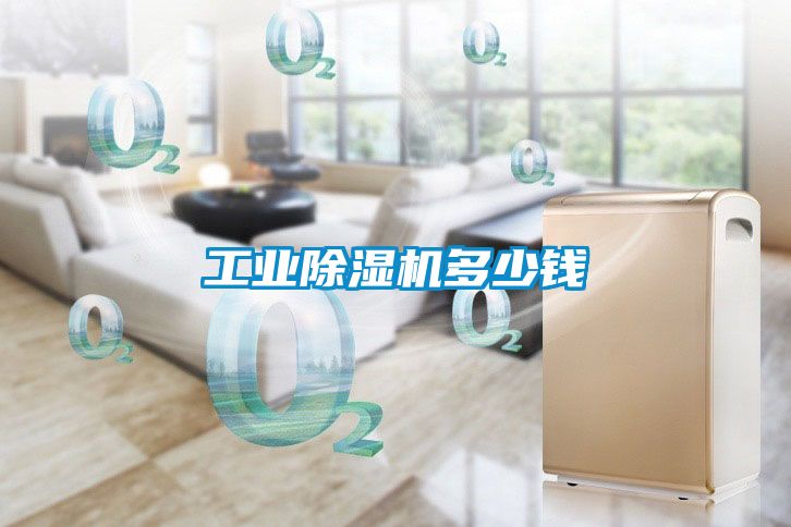 工業(yè)除濕機(jī)多少錢(qián)