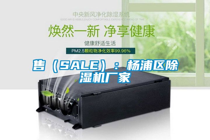 售（SALE）：楊浦區(qū)除濕機(jī)廠(chǎng)家
