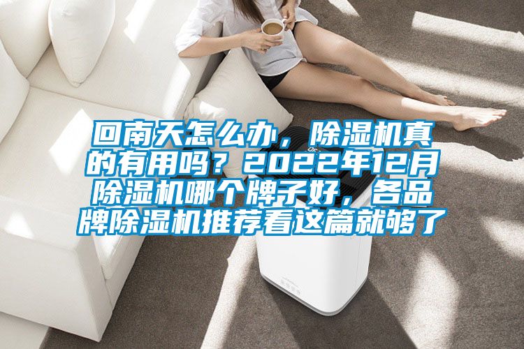 回南天怎么辦，除濕機(jī)真的有用嗎？2022年12月除濕機(jī)哪個(gè)牌子好，各品牌除濕機(jī)推薦看這篇就夠了